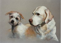 Two Dog Portrait