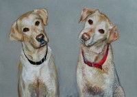 Two Dog Portrait