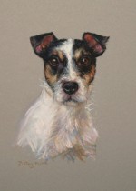 Small Dog Portrait