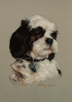 Small Toy Dog Portrait